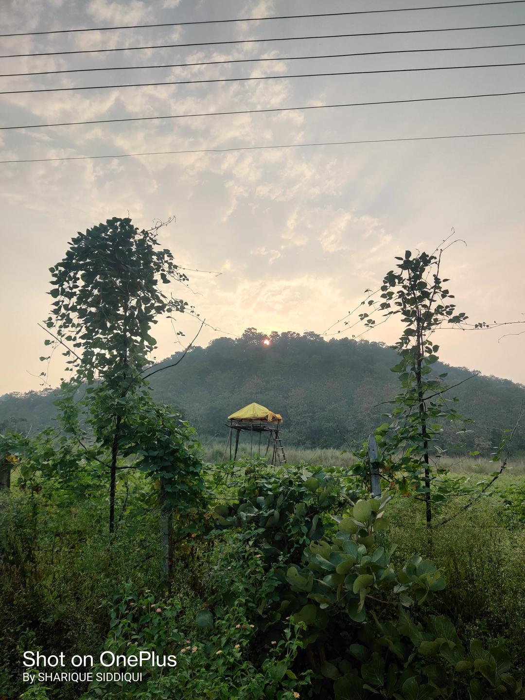 Adegaon 2 acre land