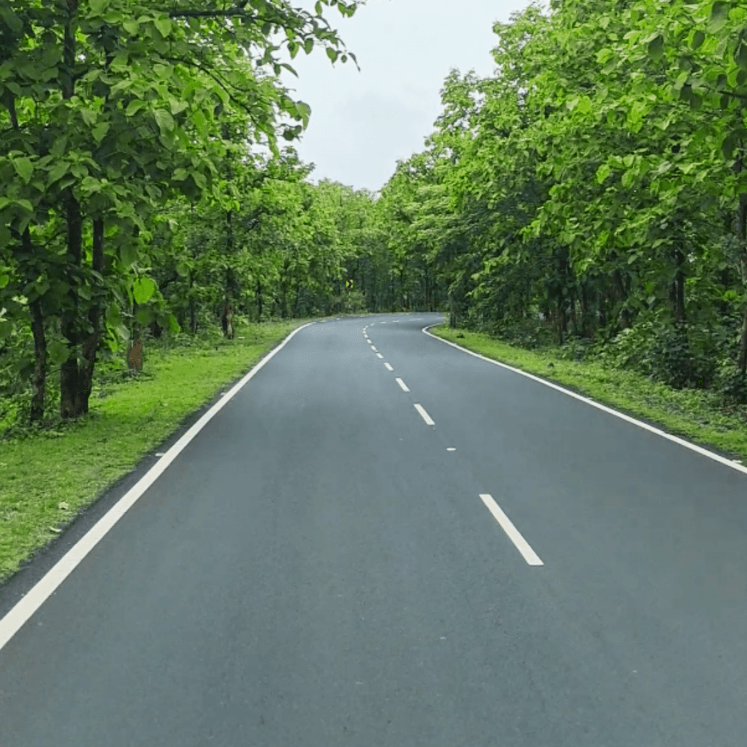Pendhari 12.6 acre land near Hingna
