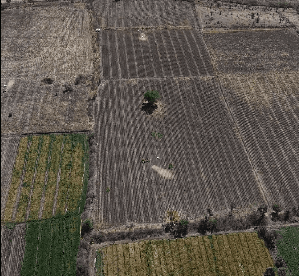 3 Acre Adegaon land near bor tiger safari gate